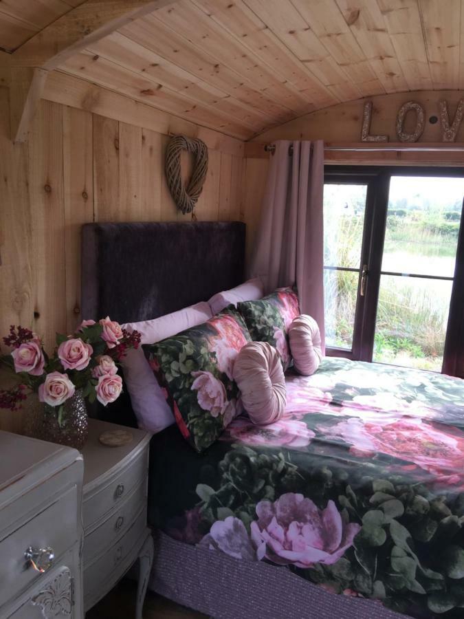 Y Cwt Bach Hotel Cardiff Luaran gambar